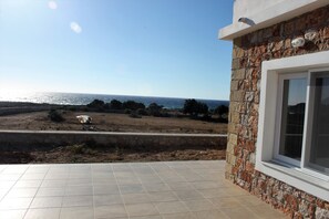 Terras