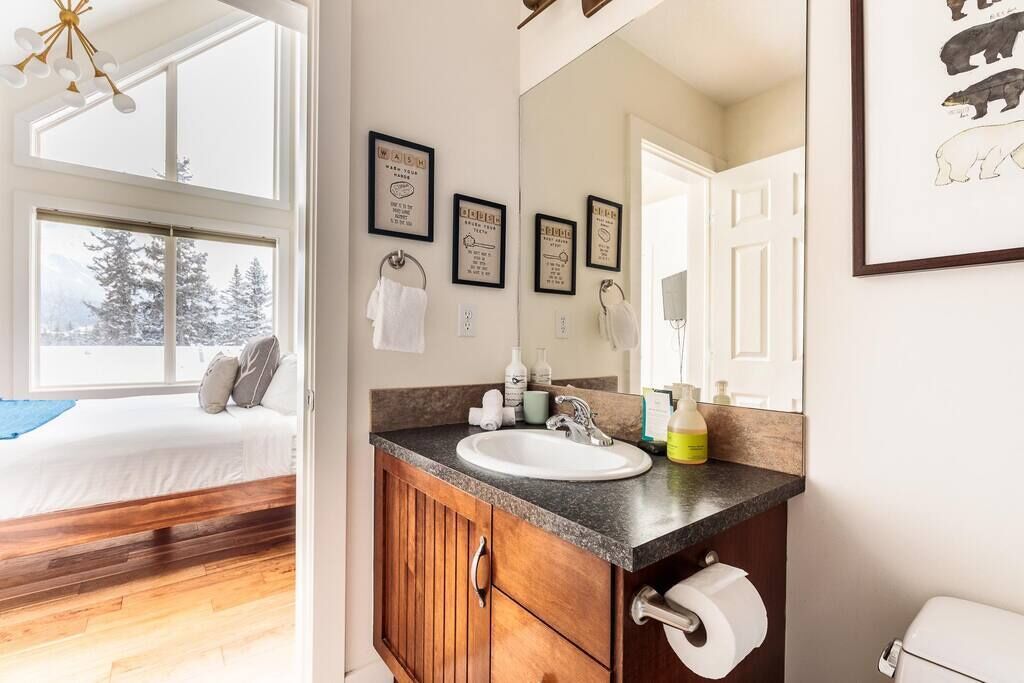 Alpine Vista Summary: