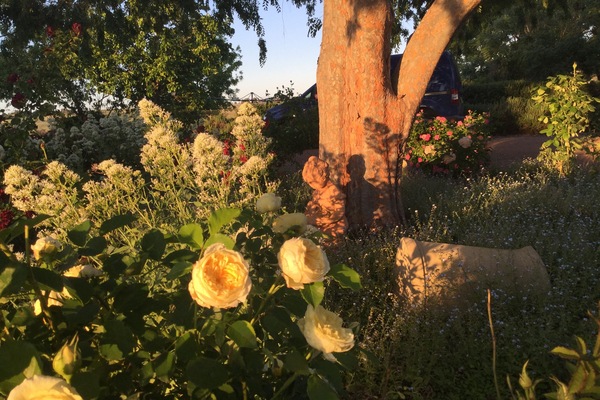 Terrein van de accommodatie