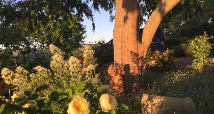 Wallaroo Wines homestead in the vines<br>