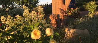 Wallaroo Wines homestead in the vines<br>