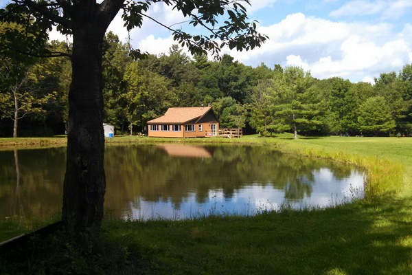 Pond View
