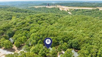 Vue aérienne d’une zone boisée, avec une route dégagée et un bâtiment doté d’une tour.
