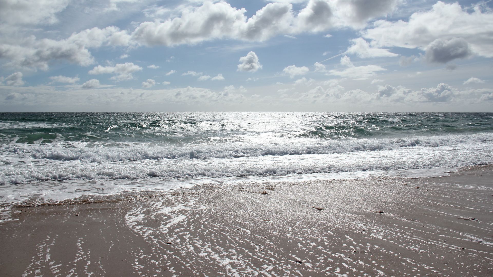 Tamar Valley Vineyard Retreat — image 18