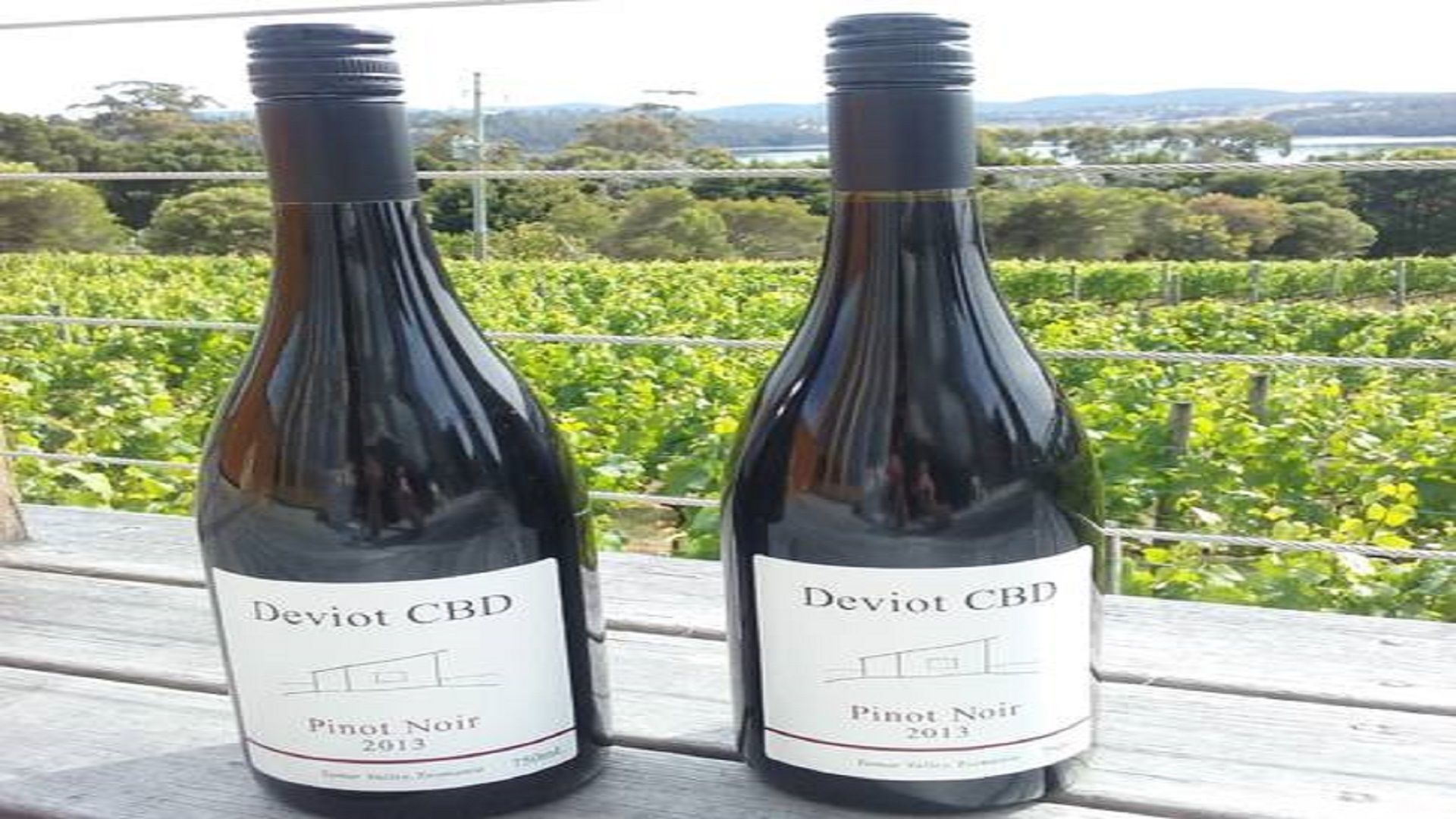 Tamar Valley Vineyard Retreat — image 17