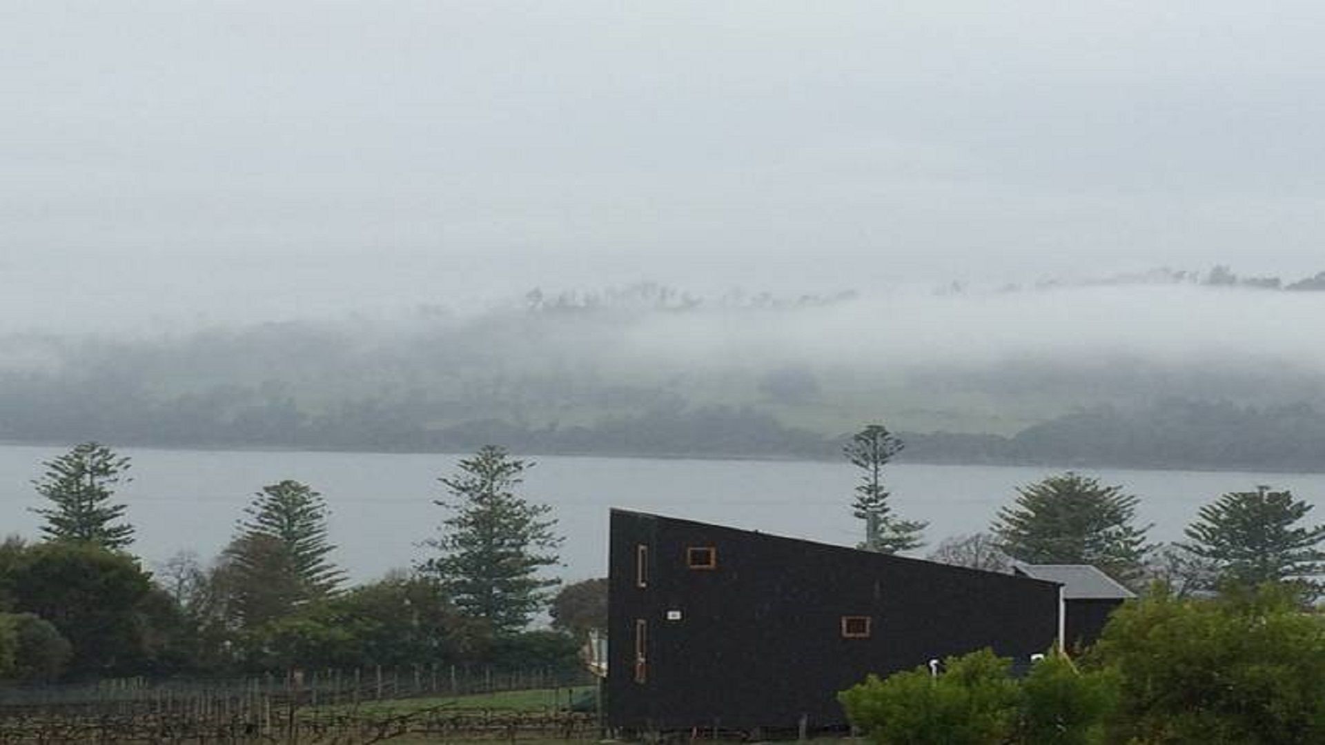 Tamar Valley Vineyard Retreat — image 9