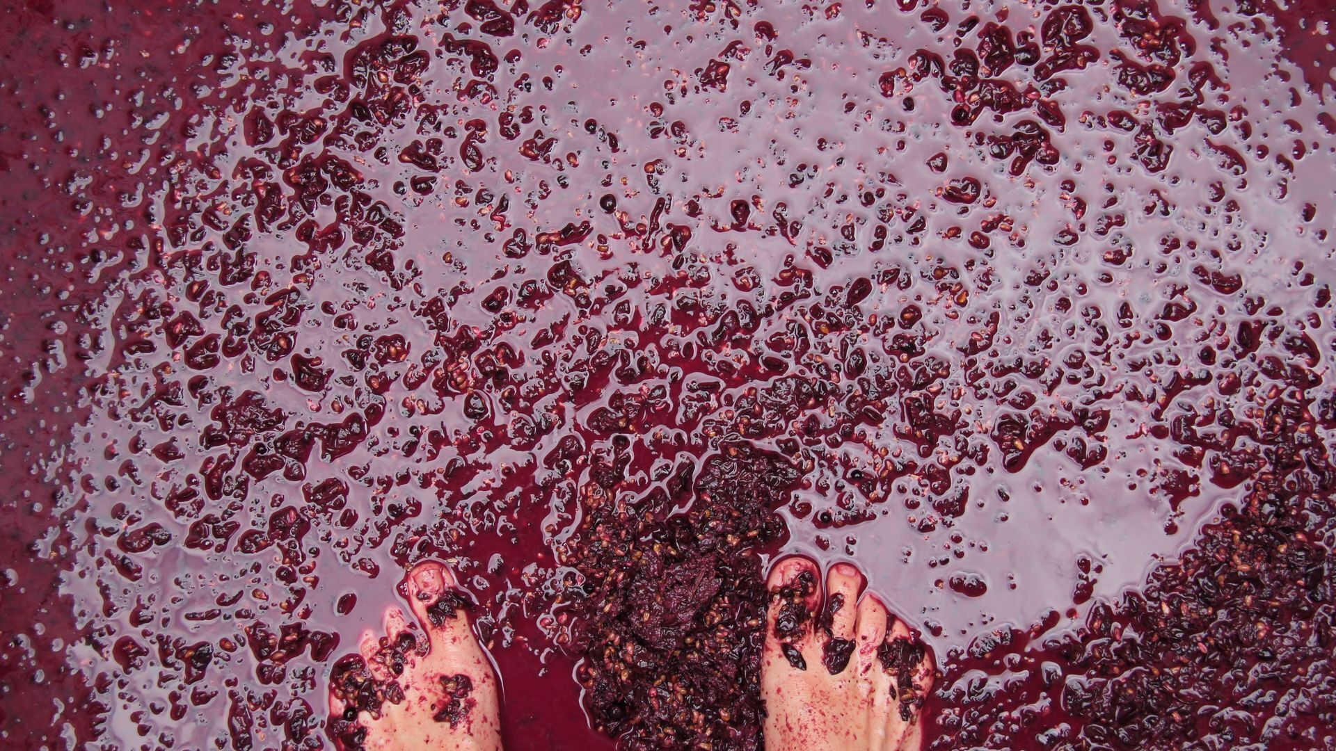 Tamar Valley Vineyard Retreat — image 10