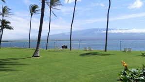 A grassy area with palm trees and lounge chairs by a body of water, with mountains in the background.