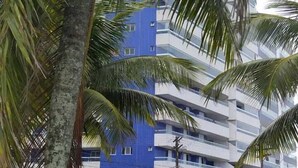 Un immeuble à plusieurs étages, doté d’une façade bleue et blanche, entouré de palmiers et bordé d’une route pavée où sont garées des voitures.