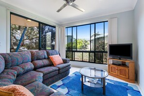 スマートテレビ、DVD プレーヤー、書庫、ビデオライブラリ