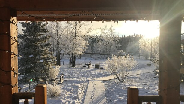 Una terraza de madera con suelo cubierto de nieve y árboles, vista desde un porche con luces colgantes.