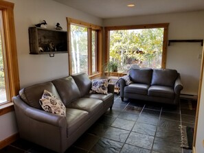 Älytelevisio, takka, DVD-soitin, kirjoja