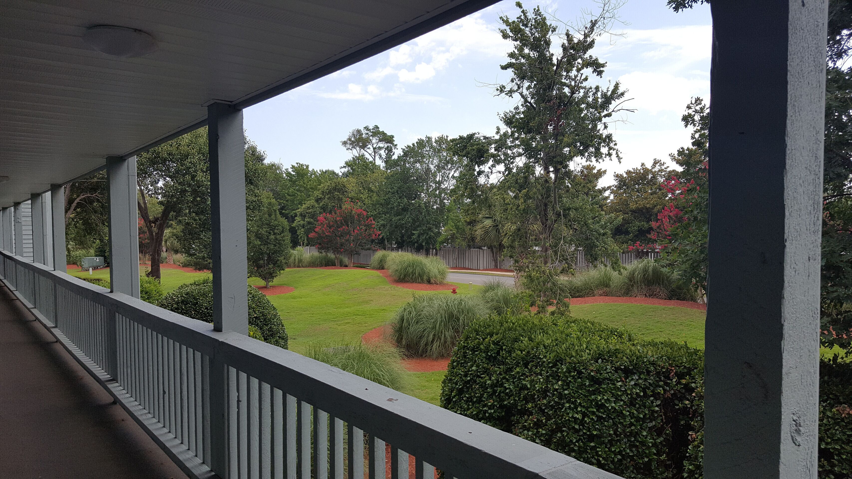 A covered outdoor area with a view of a landscaped garden, including various shrubs and trees.