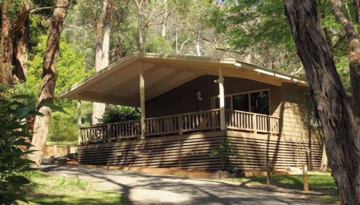 オーナーのプロフィール画像