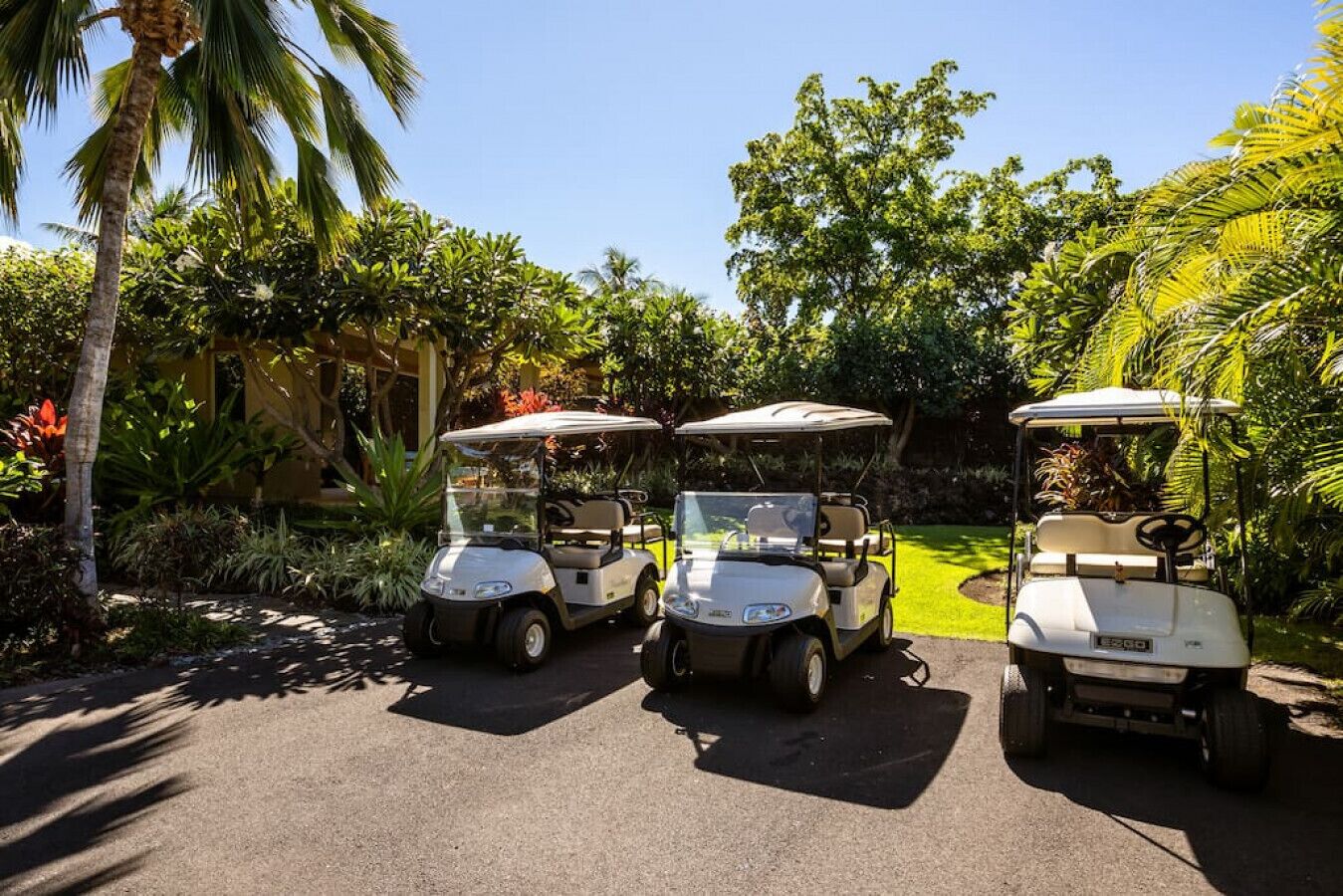 Tre golf cart parcheggiate su un'area pavimentata, circondate da vegetazione rigogliosa e palme.