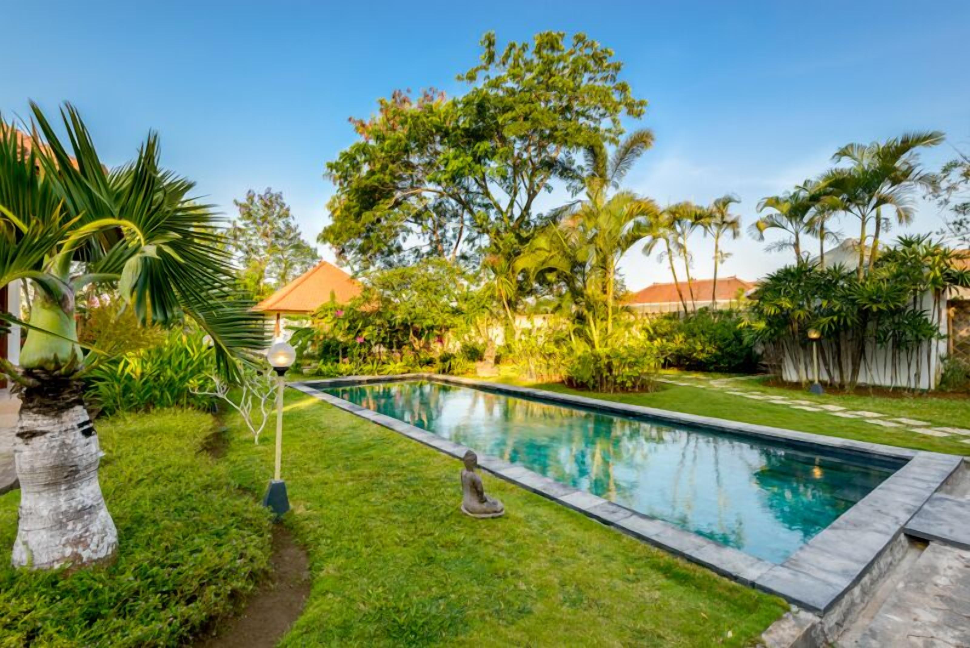Una piscina rectangular con borde de piedra, rodeada de césped cuidado y diversas plantas tropicales.