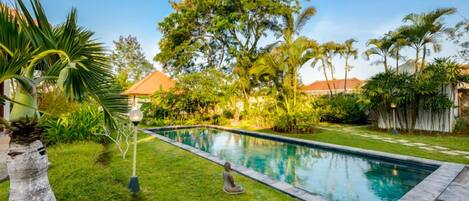 Una piscina rectangular con borde de piedra, rodeada de césped cuidado y diversas plantas tropicales.