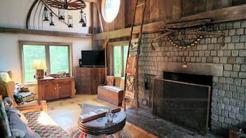 Télévision, cheminée, lecteur de DVD, livres