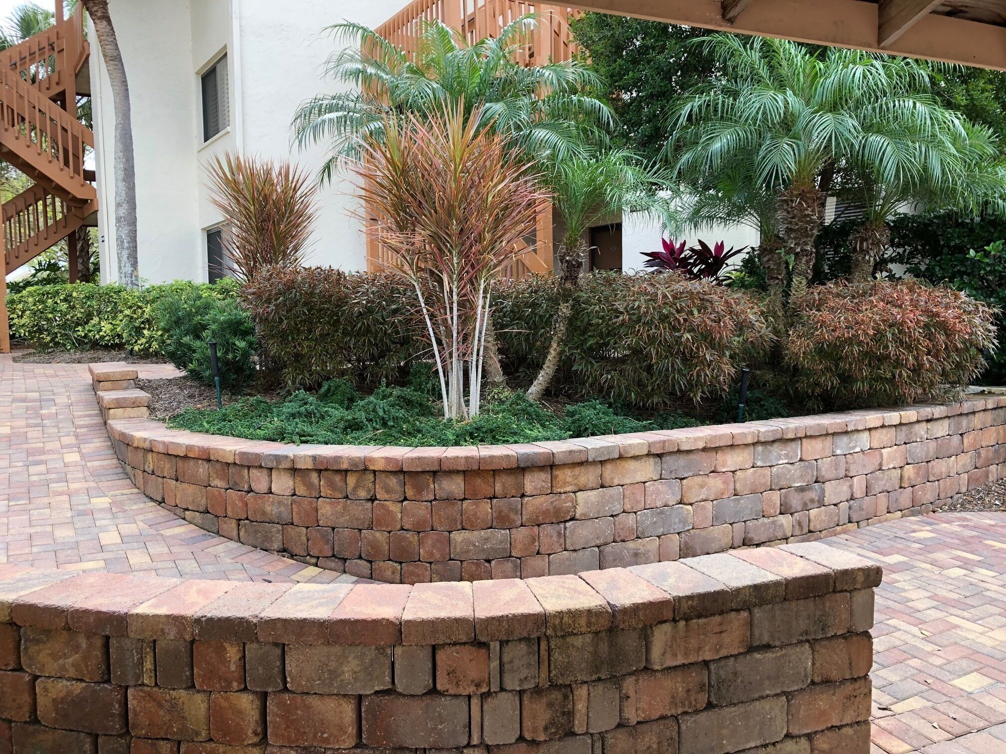 A landscaped garden area with a brick retaining wall, various shrubs, and palm trees.