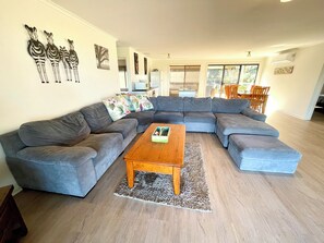 TV, video games, DVD player, video library