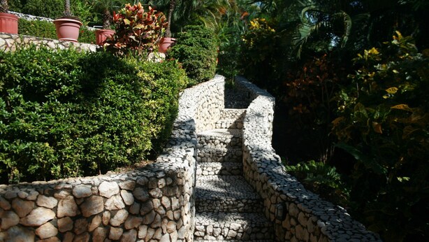 A stone staircase surrounded by lush greenery and potted plants.