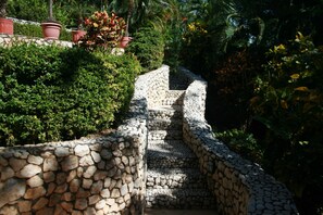 Un escalier en pierre, entouré d’une végétation luxuriante et de plantes en pot.