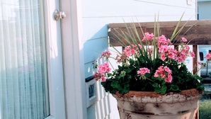 A potted plant with pink flowers on a wooden deck. - Terrapin Station: Oceanfront Home for Vacation Rental, Pet Friendly, Sleeps 10 (Surf City)