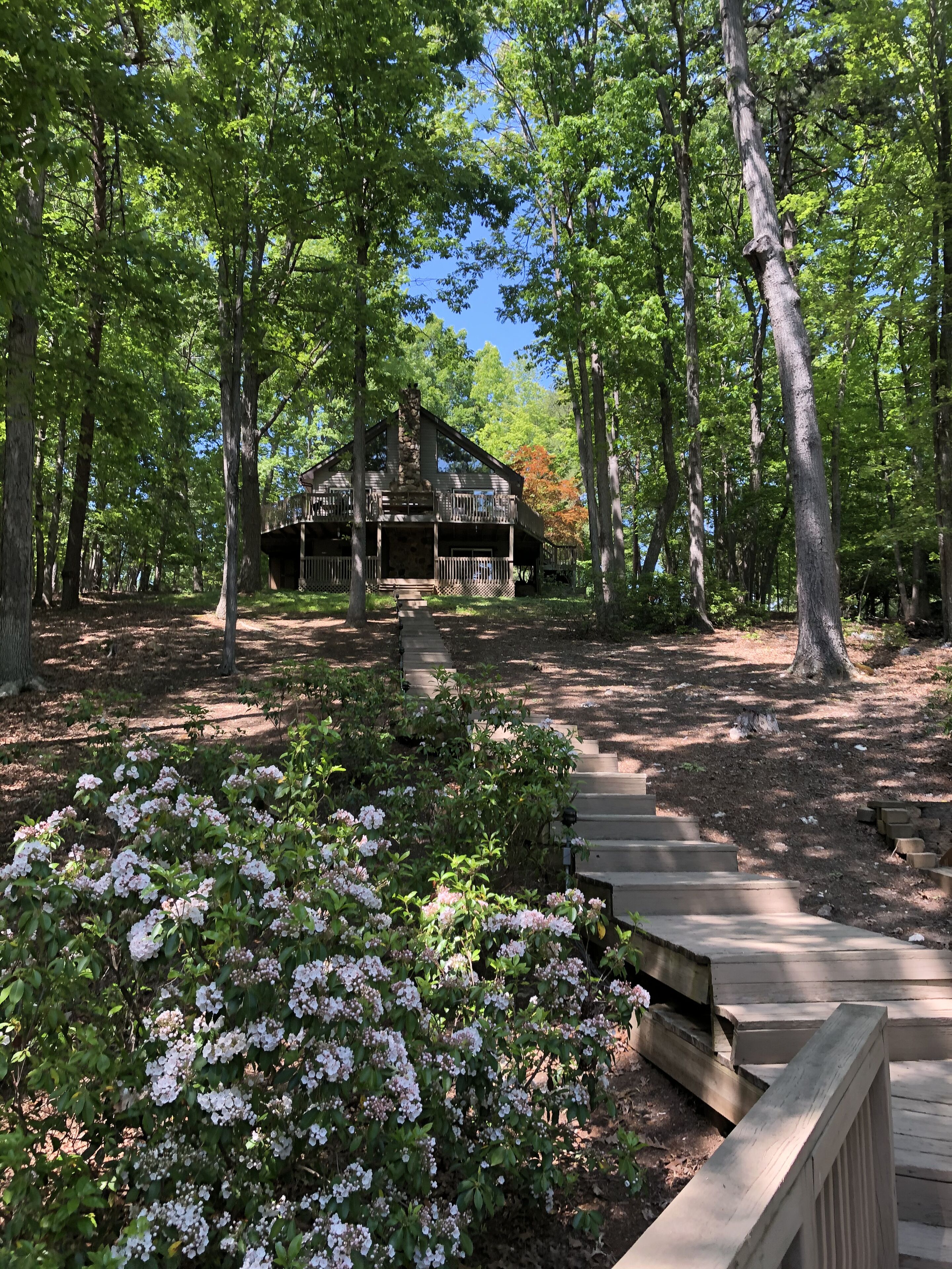 Paradise Found at Smith Mountain Lake