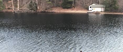 Sun-loungers, beach towels