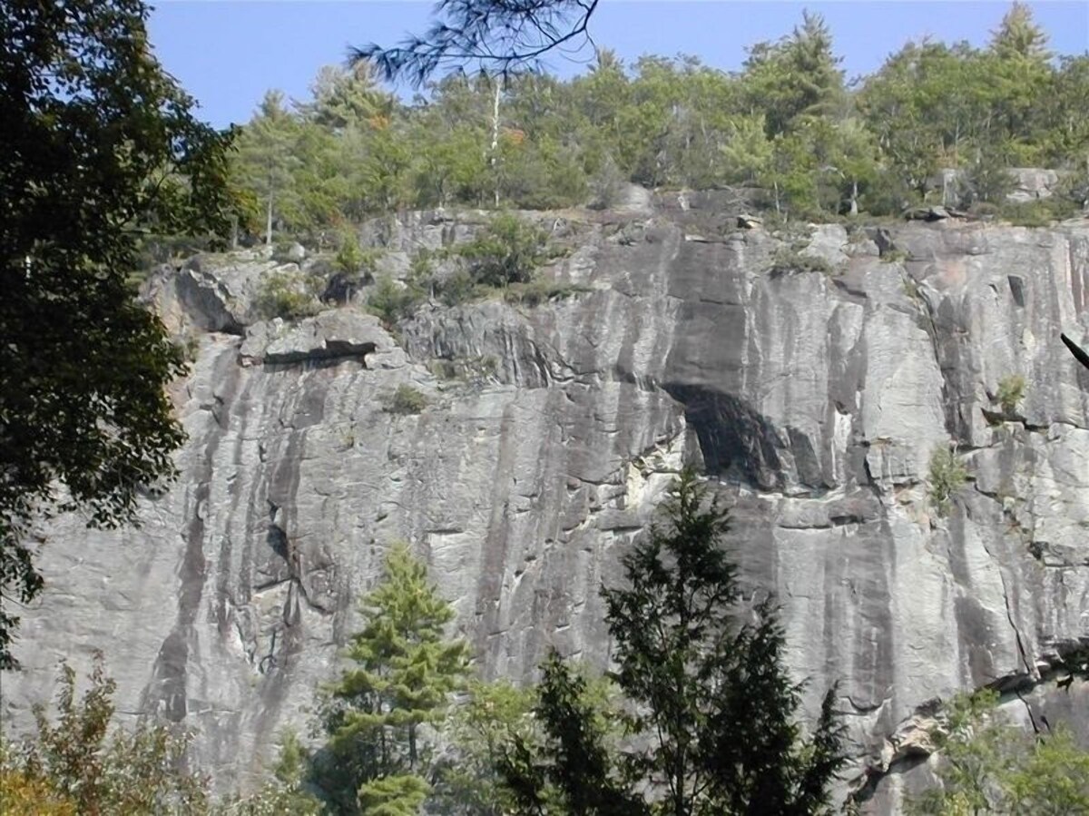 Imagen de perfil del propietario o de la propietaria