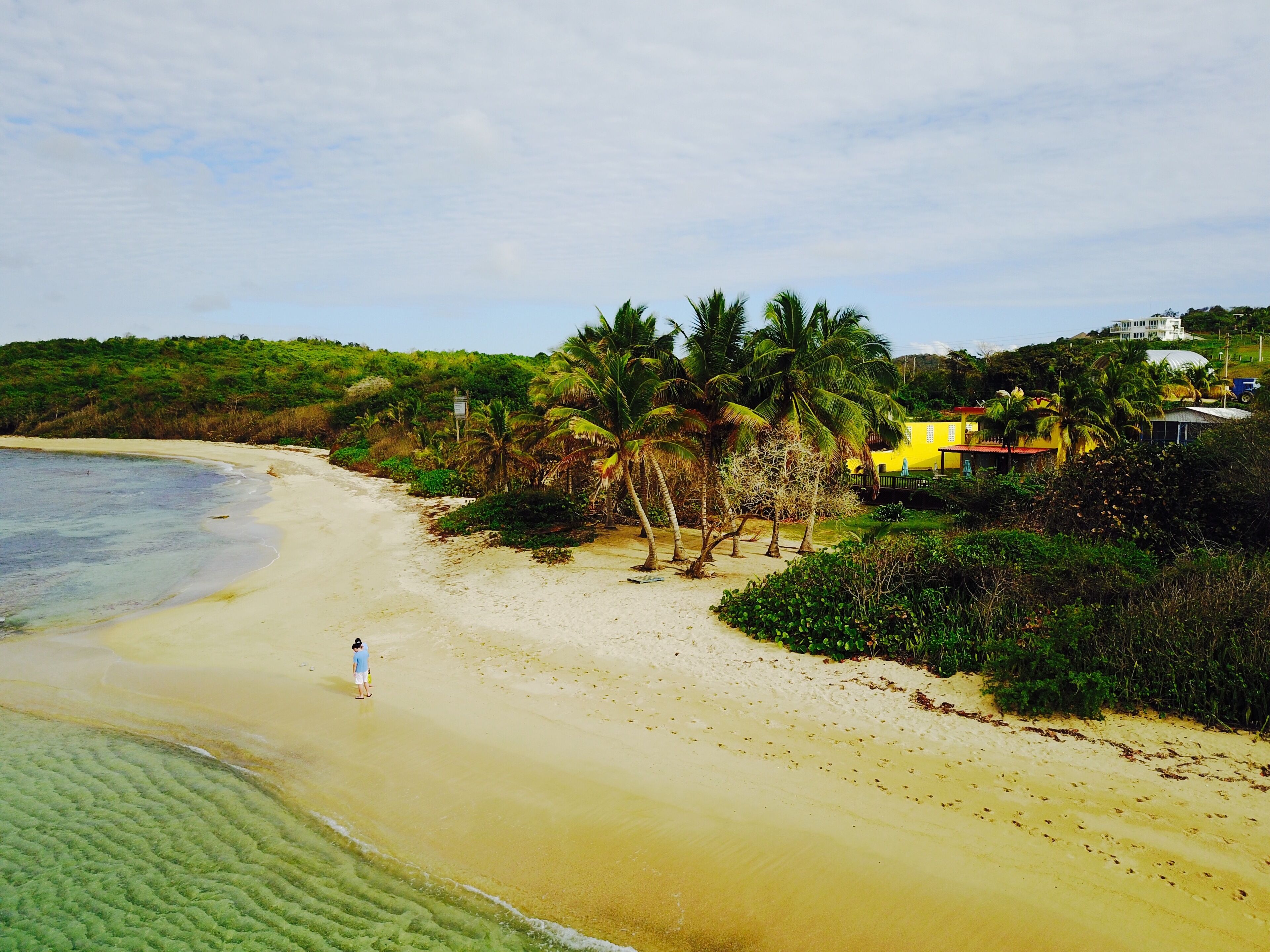 A beach with a person walking, palm trees, and a yellow building.
