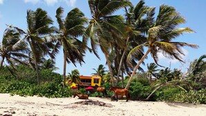 Una playa con palmeras, un caballo y un edificio amarillo con sombrillas rojas.