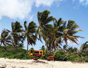 Exterior - Stunning Beach Front House, 
 beach door access 4BR (Vieques)