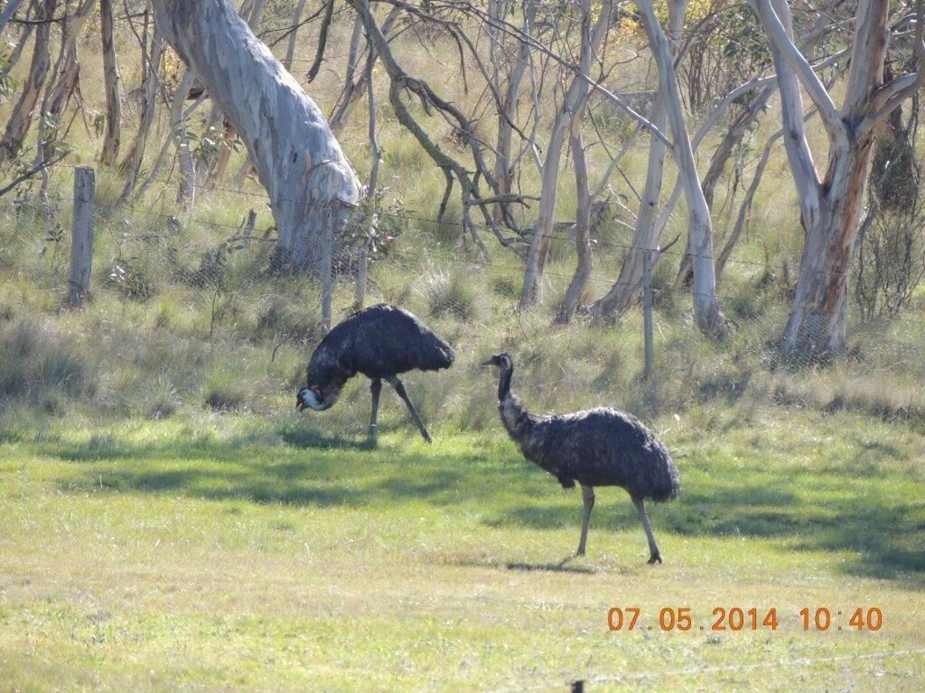 Bush Rock Touchdown Cottages — image 19