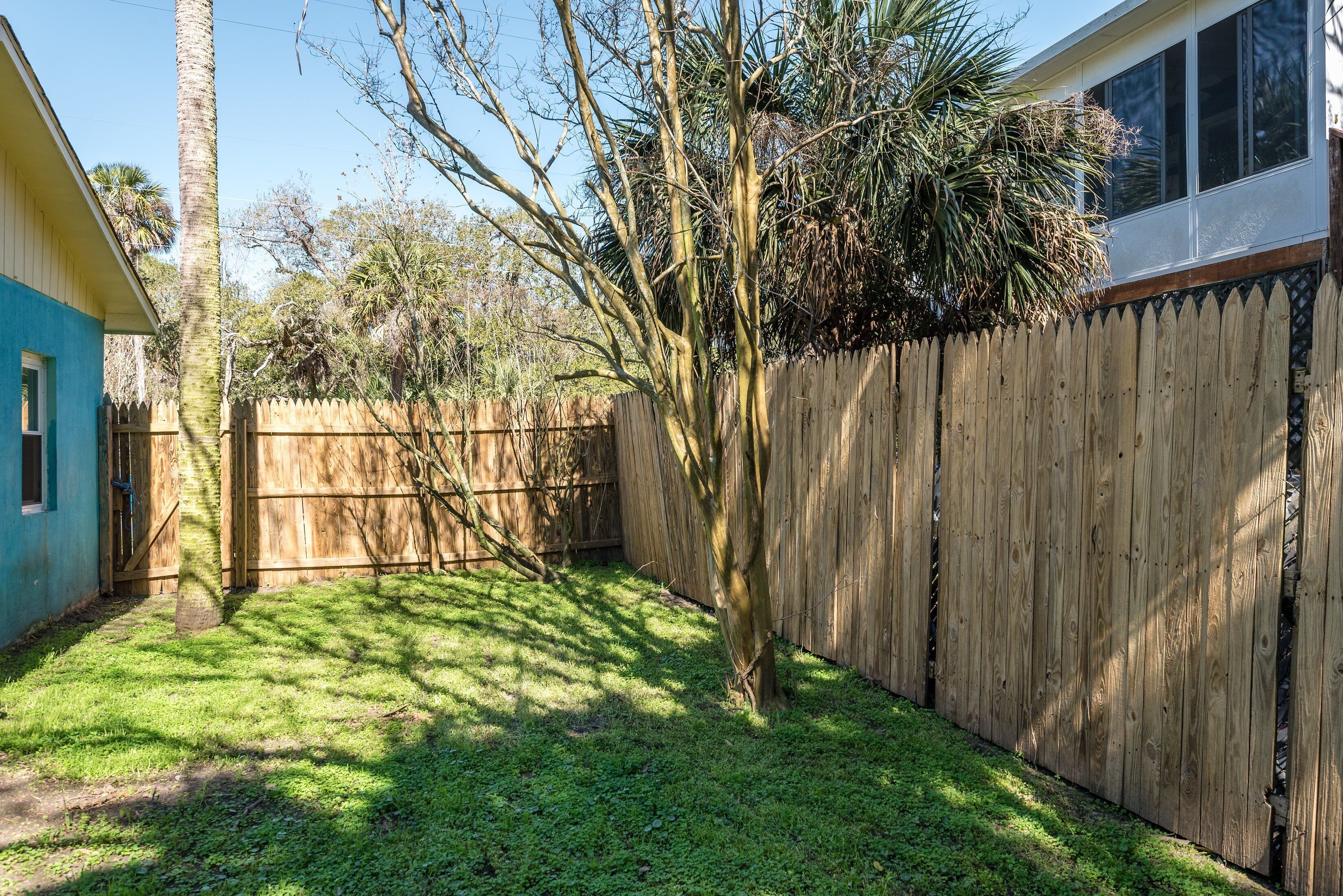 A backyard with a wooden fence, a palm tree, and a house with a blue exterior.