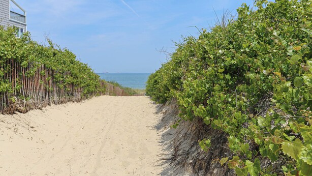 Beach - Just Steps to the Beach! (Virginia Beach)