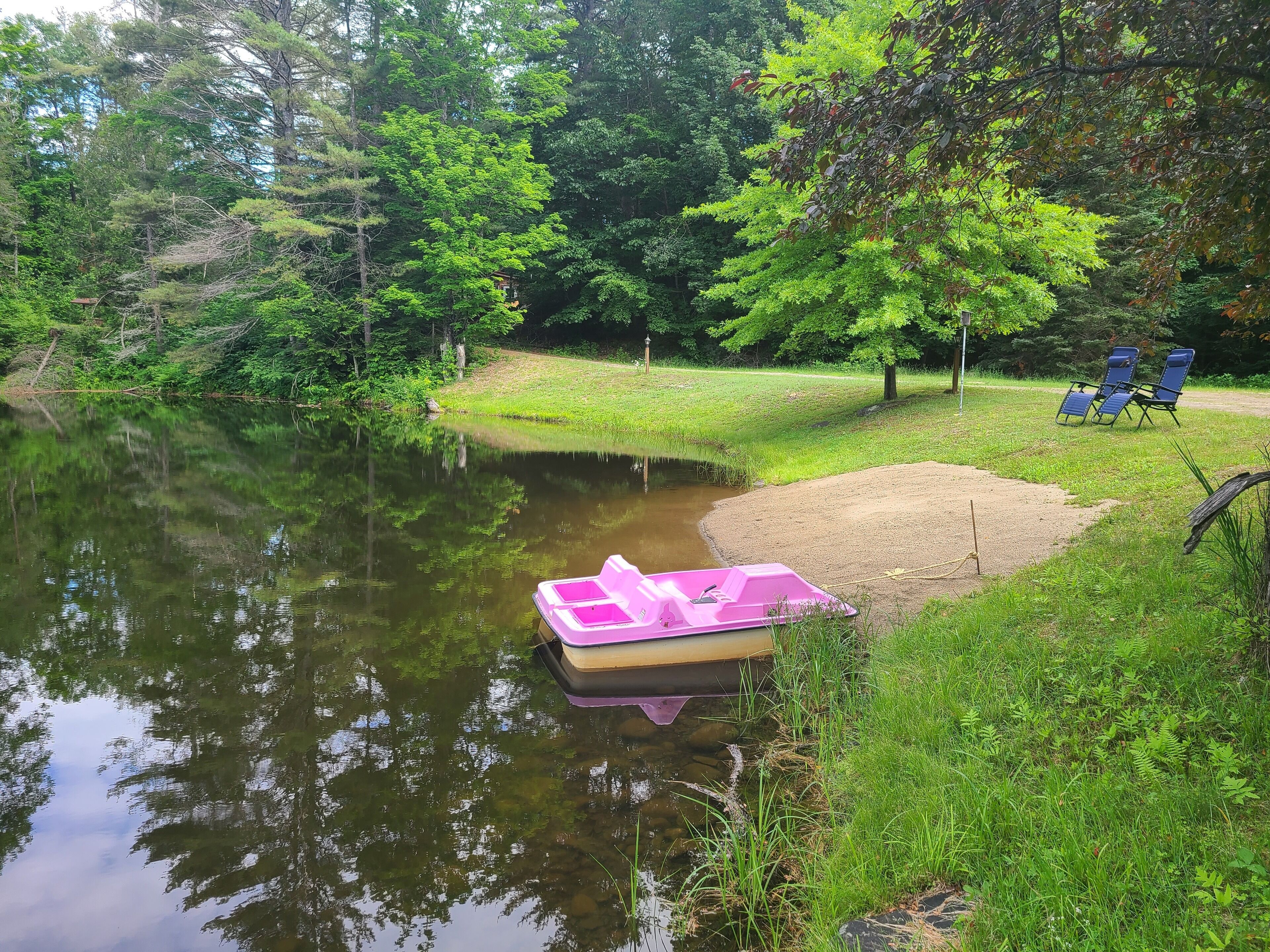 A tranquil pond with a pink boat, surrounded by lush greenery and trees.