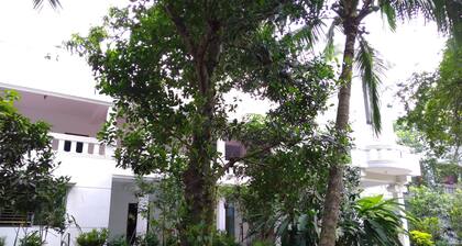 Enjoy village lifestyle and villagers food