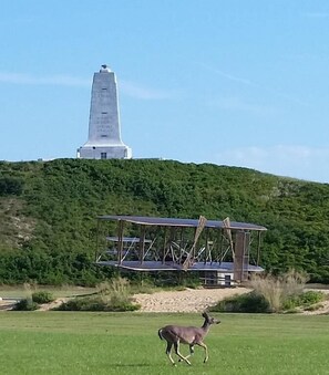 Point of interest - 364 Close to the Beach and Wright Memorial! (Kill Devil Hills)