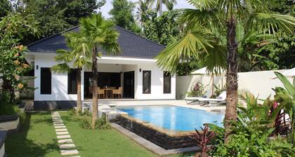 Villa dans une zone boisée de Lovina