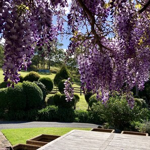Property grounds - Breathtaking Views, Privacy & Luxury Perfect for family’s, retreats and getaways (Foxground)