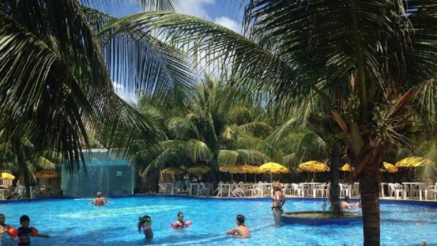 Une piscine entourée de palmiers et de parasols.