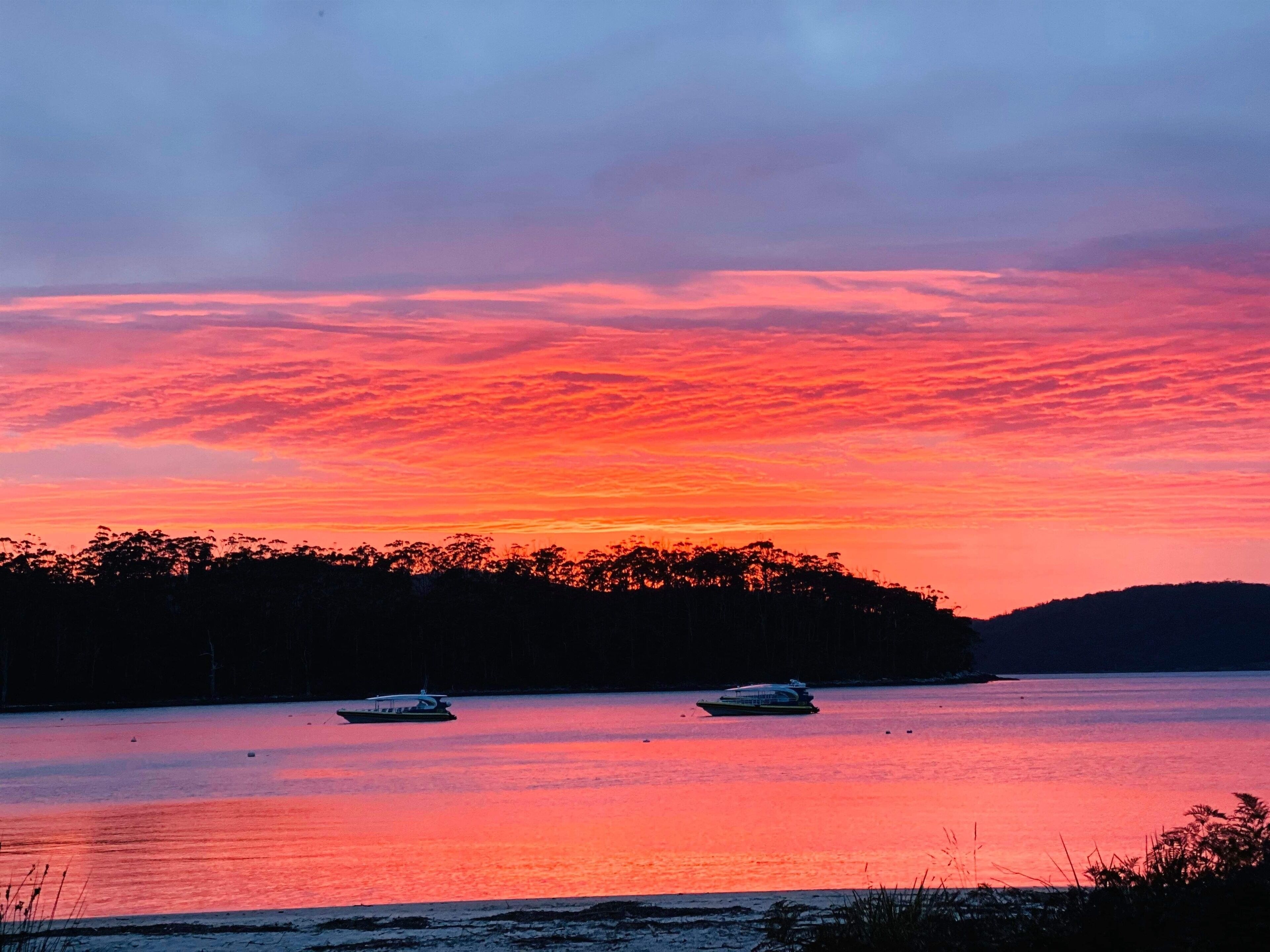 Port Arthur Beachfront Retreat — image 2