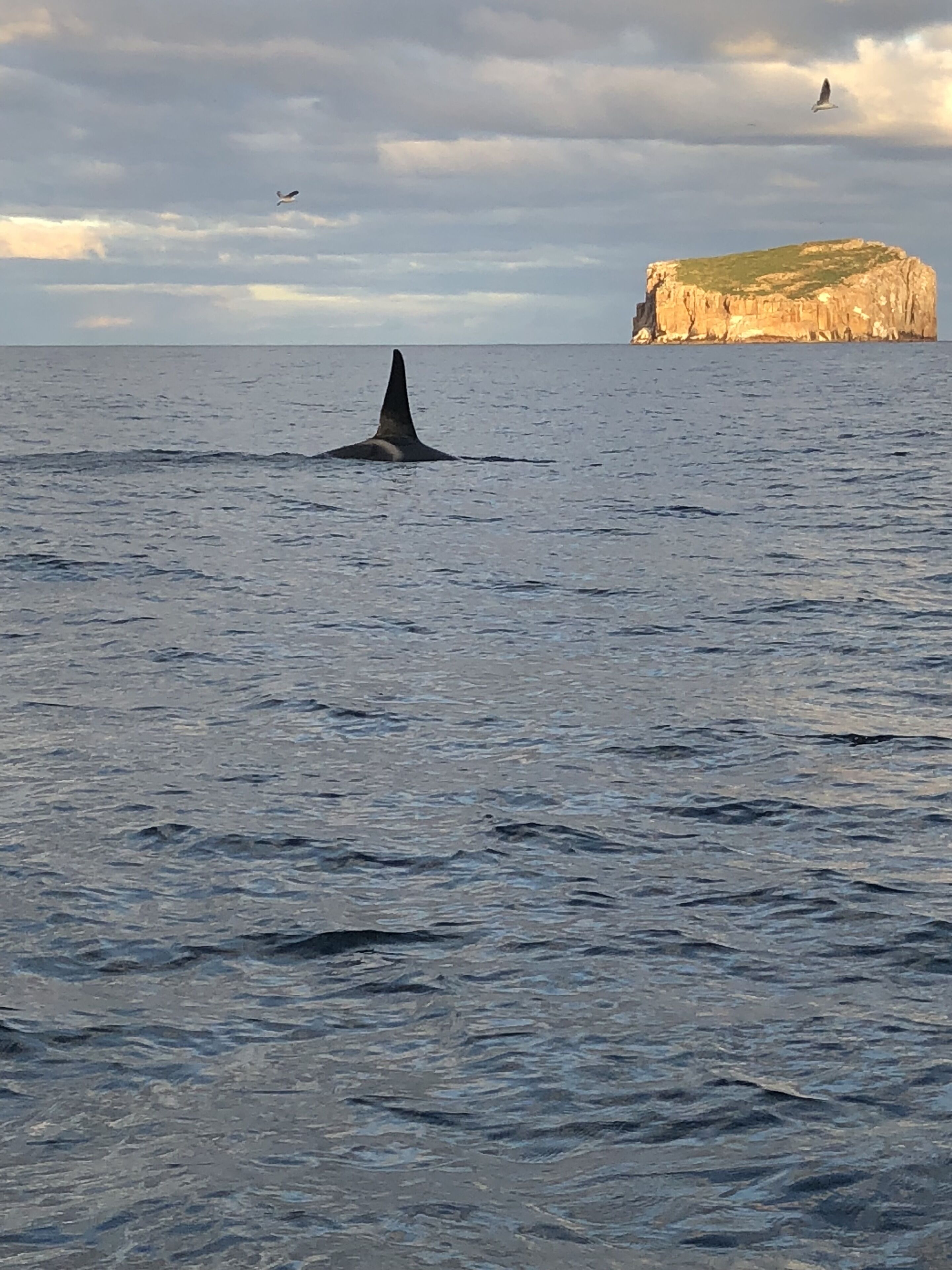 Port Arthur Beachfront Retreat — image 22