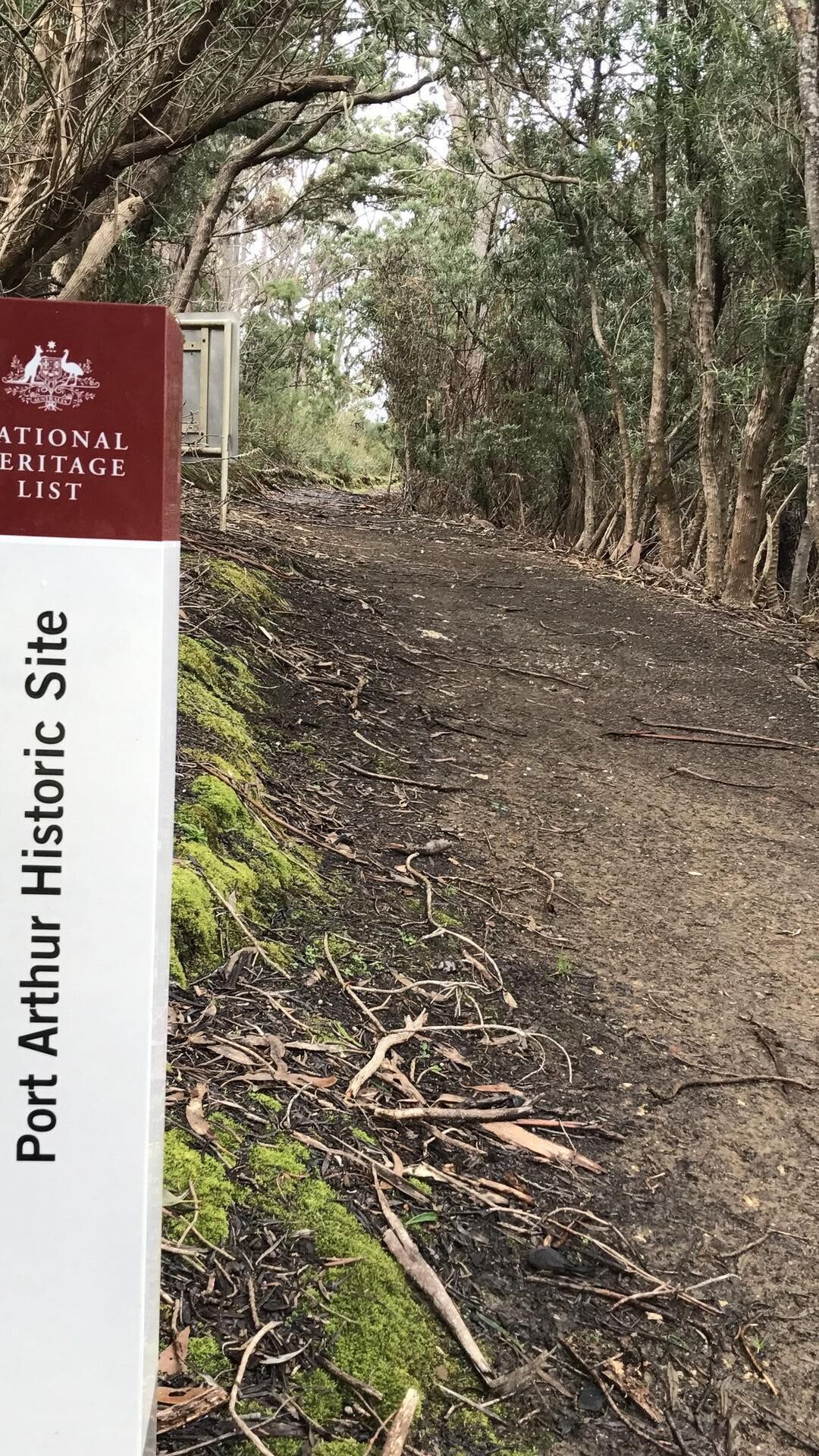 Port Arthur Beachfront Retreat — image 28