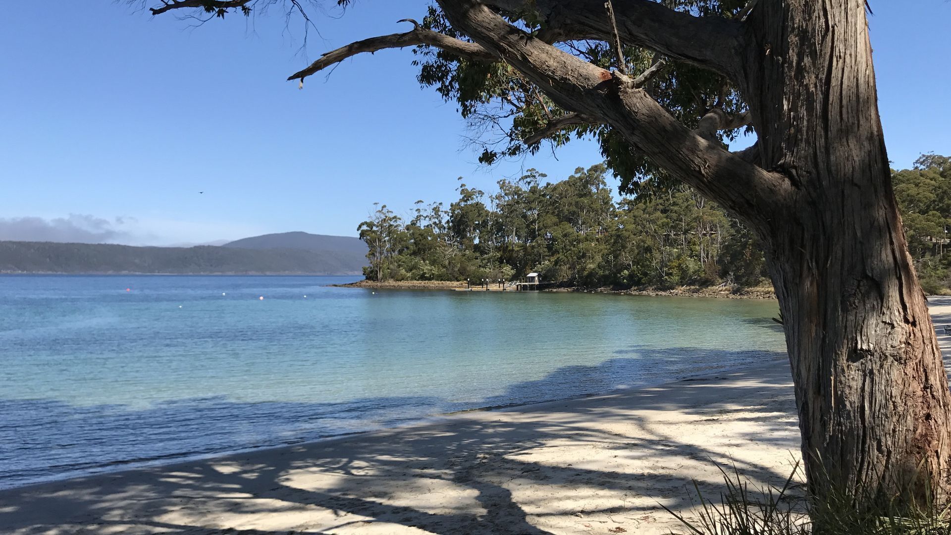 Port Arthur Beachfront Retreat — image 23
