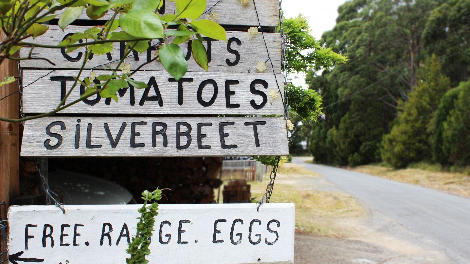 Port Arthur Beachfront Retreat — image 21