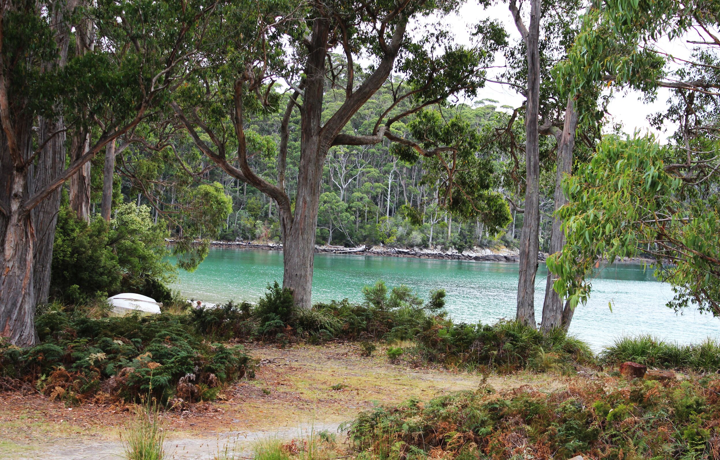 Port Arthur Beachfront Retreat — image 25