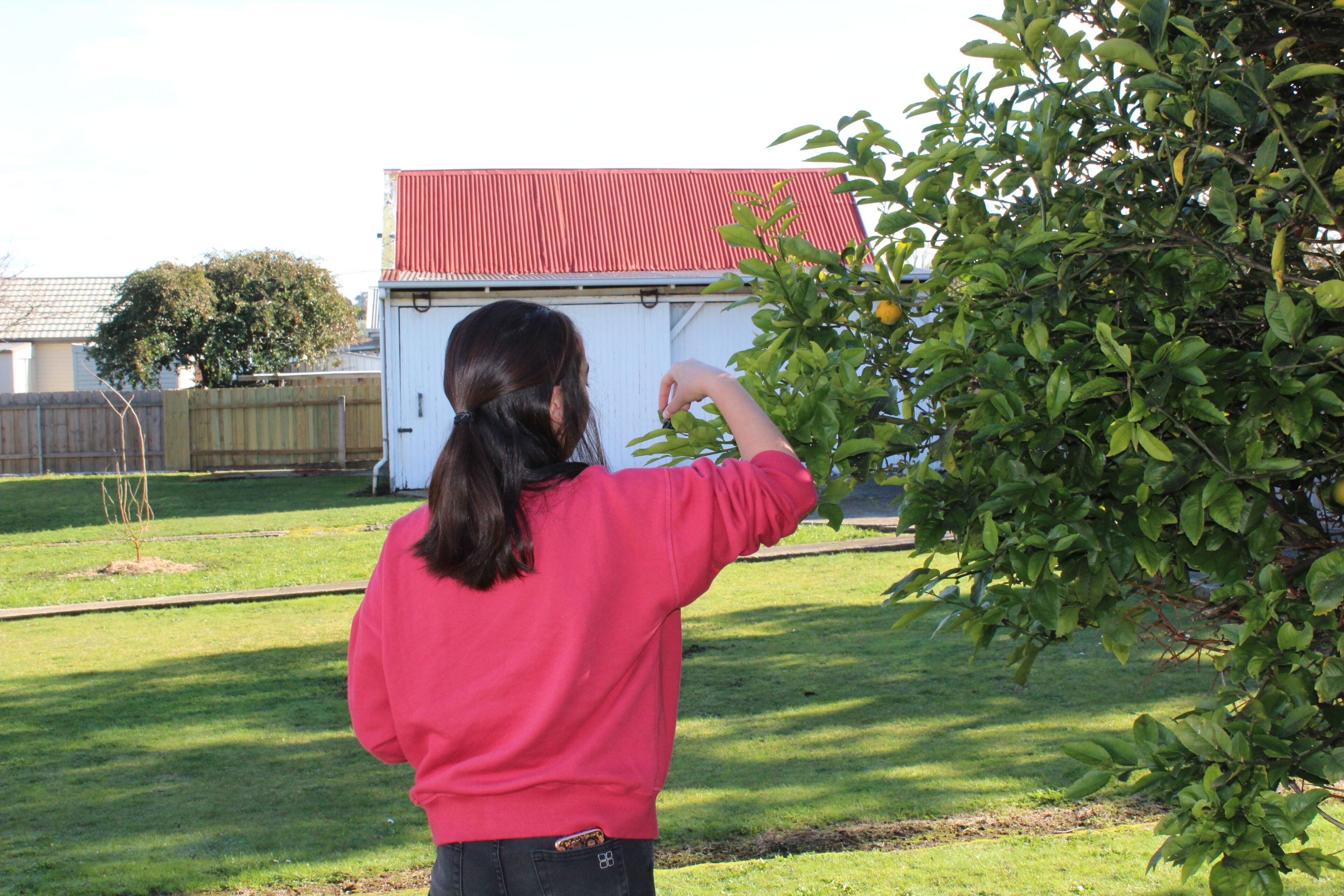 Signature on Gunn. Devonports finest executive holiday home. — image 20