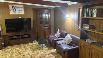 Televisor intel·ligent, llar de foc, reproductor de DVD i llibres